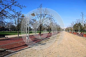 Avenue in the public park called CAMPO MARZO in Vicenza, Italy photo