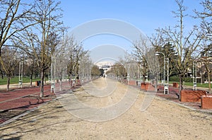 Avenue in the public park called CAMPO MARZO in Vicenza photo