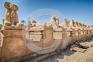 Avenue of ram-headed sphinxes in Karnak, Egypt