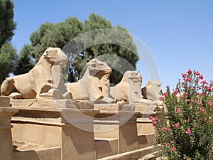 Avenue of the ram-headed sphinxes in the Karnak temple