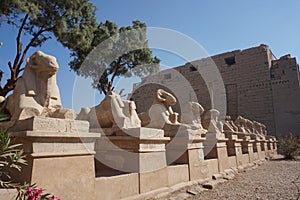 Avenue of ram-headed sphinxes at Karnak Temple, Luxor
