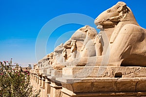 Avenue of the ram-headed Sphinxes. Karnak Temple. Luxor