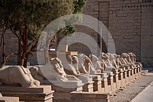 Avenue of the ram-headed Sphinxes. Karnak Temple. Luxor, Egypt