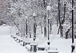 Avenue with a row of lanterns and benches during strong wind and snowstorm at winter in Moscow, Russia. Scenic view of a