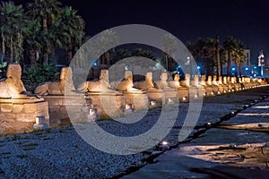 Avenue of the Sphinx Luxor Temple at night (ancient Thebes) was constructed approximately 1400 BCE