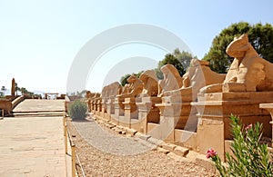 The Avenue of The Sphinxes.