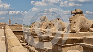 Avenue of the Sphinxes from the first pylon of the Karnak Temple in Luxor, Egypt.