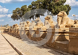 Avenue of the Sphinxes from the first pylon of the Karnak Temple in Luxor, Egypt.