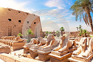 Avenue of Sphinxes or The King s Festivities Road, ram-headed statues of Karnak Temple, Egypt