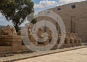 Avenue of the Sphinxes leading to the first pylon of the Karnak Temple in Luxor, Egypt.