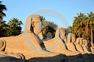 Avenue of Sphinxes