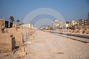 Avenue of Sphinxes next to Luxor Temple Luxor, Egypt