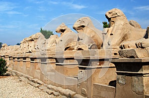Avenue of sphinxes in Precinct of Amun-Re (Karnak Temple Complex, Luxor, Egypt) photo