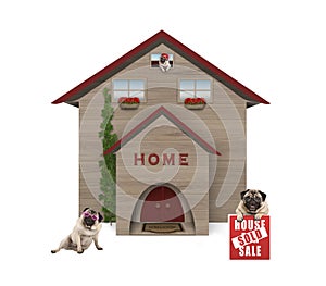 Average middle class pug dog familiy, sitting down in garden with house sold sign at new home