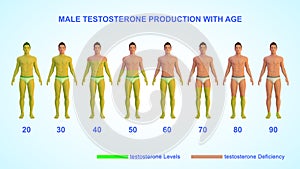 Average testosterone production with age