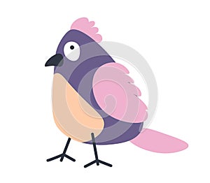 Avian animal with colorful plumage portrait vector