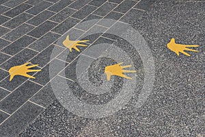 Avian Footmarks