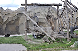 An aviary for a bear in the zoo. The bear is tired and resting.