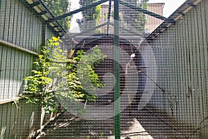 Aviary with stork in city zoo