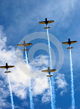 Aviatic show