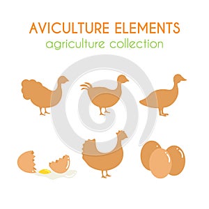 Aviculture vector set. Poultry industry illustration. Flat argiculture collection.