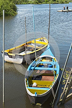 Avieiros boats