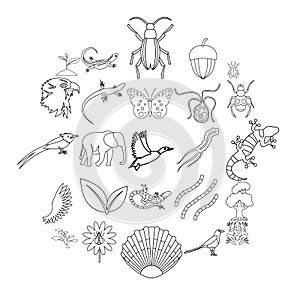 Avifauna icons set, outline style