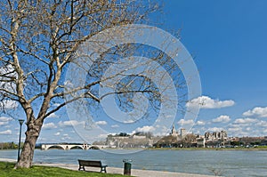 Avignon across Rhone River, France