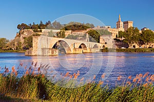 Avignon Bridge, France