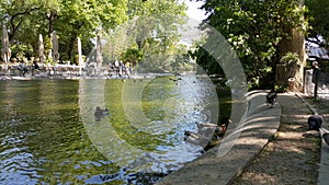 Avignon parc