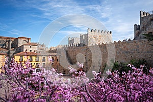 Avila Medieval Walls and Cathedral at Plaza Adolfo Suarez Square - Avila, Spain photo