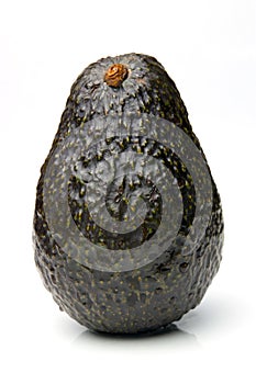 Palta 