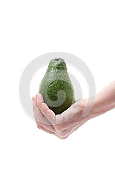 Avocado