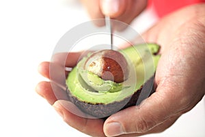 Palta 