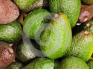 Avocado also refers to the Avocado tree`s fruit,Fresh organic avocado at market photo