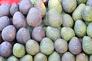 Avocado also refers to the Avocado tree's fruit, which is botanically a large berry containing a single seed. photo