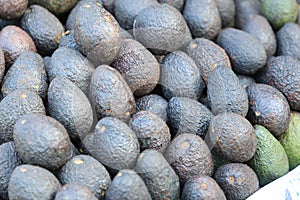 Avocado also refers to the Avocado tree's fruit, which is botanically a large berry containing a single seed. photo