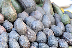 Avocado also refers to the Avocado tree's fruit, which is botanically photo