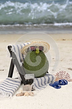 Avocado in Beach Chair