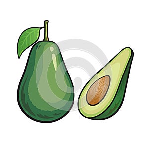 Avocado cartoon, isolate on white background
