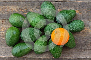 Avocado and citrus fruit