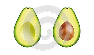 Avocado collection isolated on white. Vector illustration