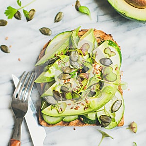 Avocado, cucumber, kale, kress sprouts, pumpkin seeds sandwich, top view