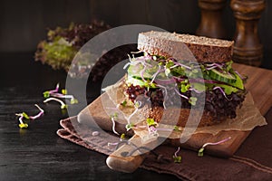 Avocado cucumber sandwich with onion and radish sprouts