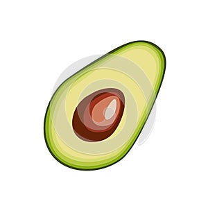 Avocado cut half, vector illustration isolated on white background in flat style