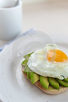 Avocado and egg on toast breakfast