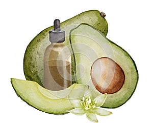 Avocado essential oil watercolor illustration. Hand drawn drawing of tropical fruit and glass bottle with dropper for