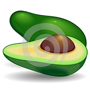 Avocado Exotic Healthy Fruit
