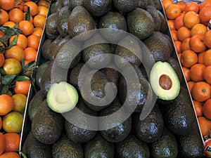 Avocado at farmers market
