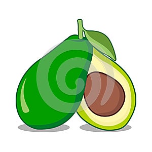 Avocado Fresh Asian Tropical Vector Illustration